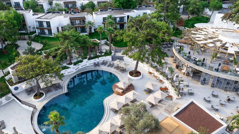 The Norm Collection Door'a