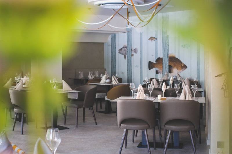 Grifid Club Hotel Bolero