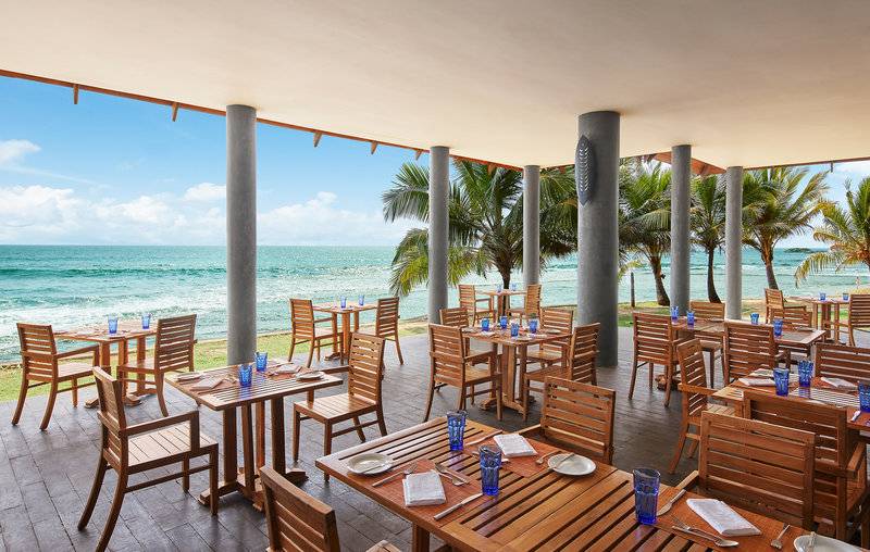 Hikka Tranz by Cinnamon