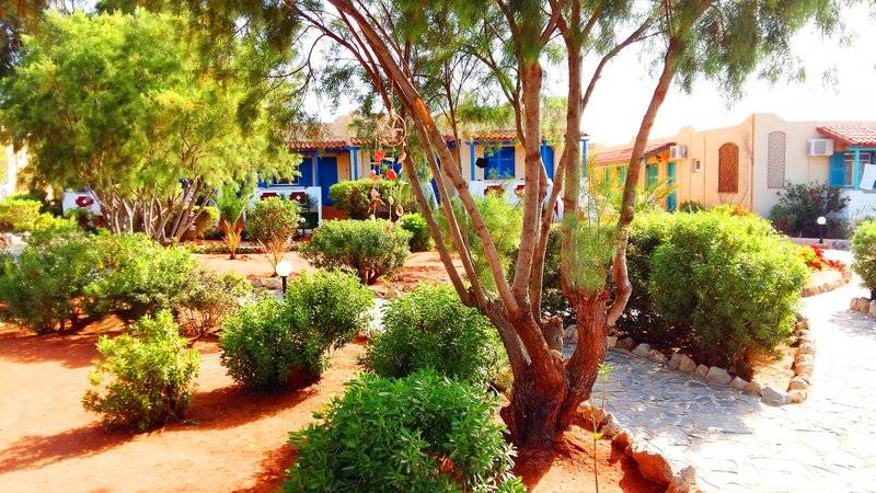 Zorbas Beach Village Hotel