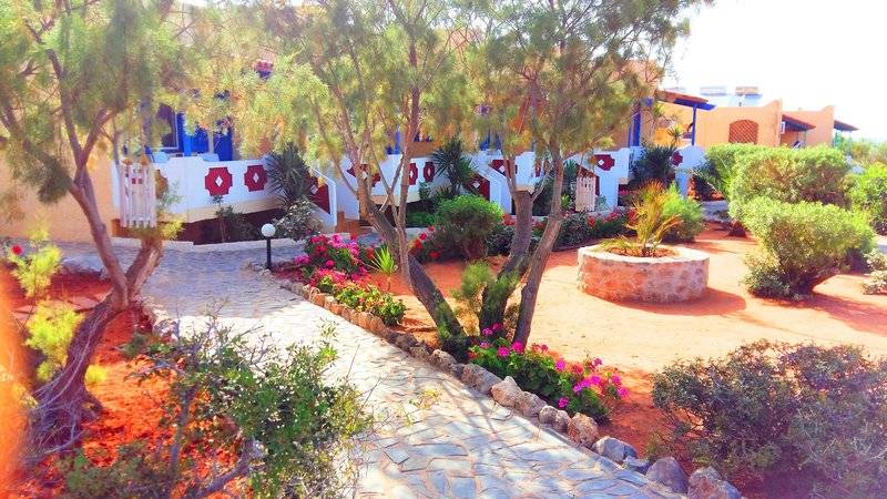 Zorbas Beach Village Hotel