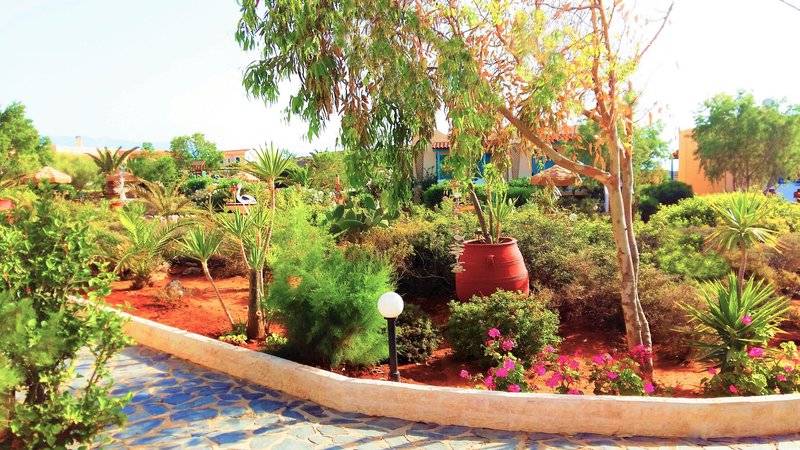 Zorbas Beach Village Hotel