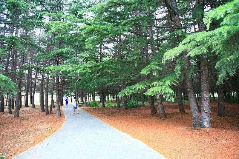 Parkhotel Continental