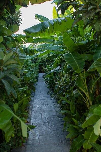 Irene Palace Beach Resort