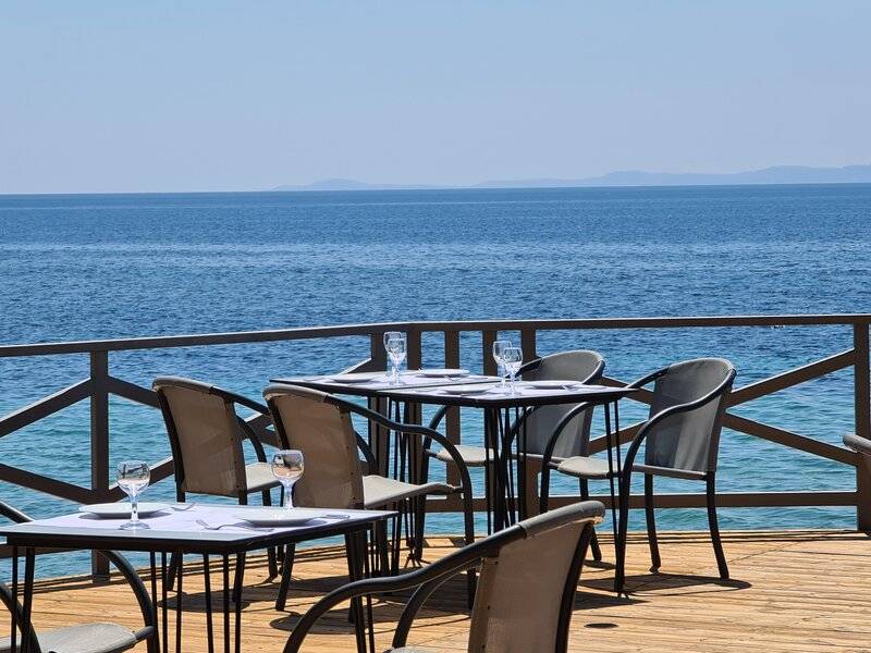 Blue Dolphin Resort Hotel