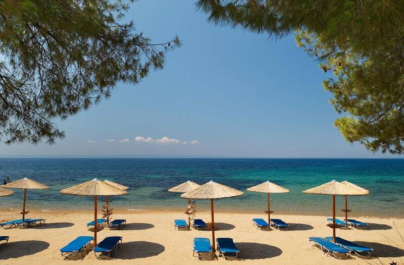 Blue Dolphin Resort Hotel