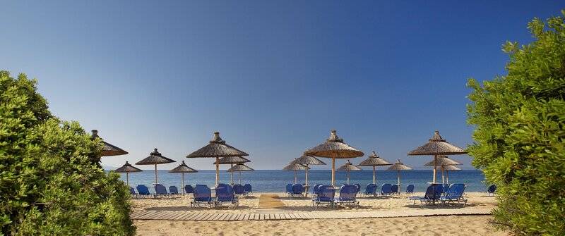 Blue Dolphin Resort Hotel