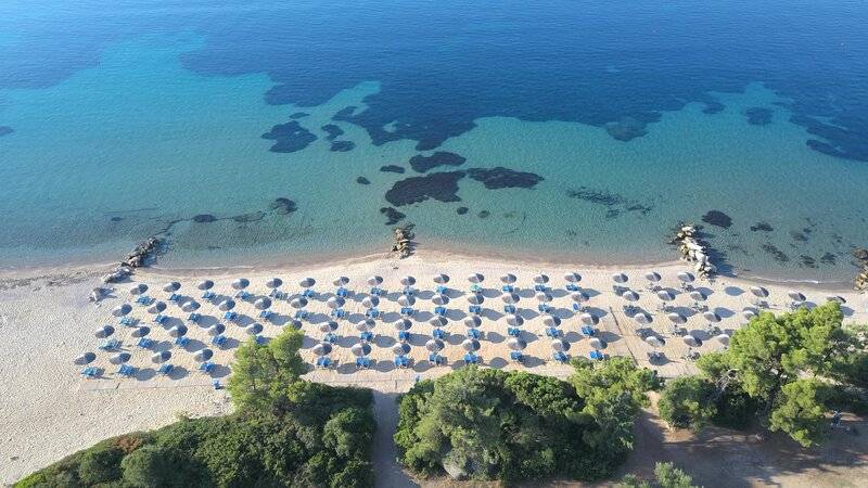 Blue Dolphin Resort Hotel