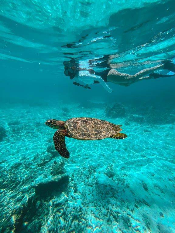 Park Hyatt Maldives Hadahaa