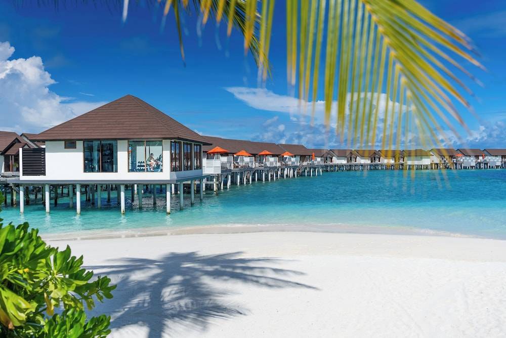 OBLU SELECT at Sangeli