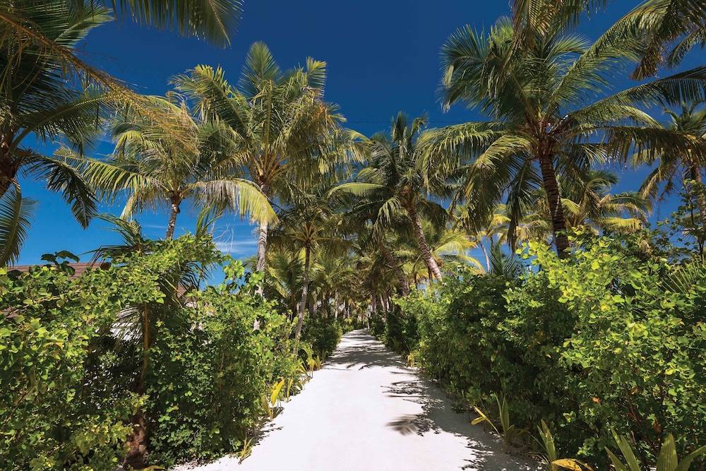 OBLU SELECT at Sangeli