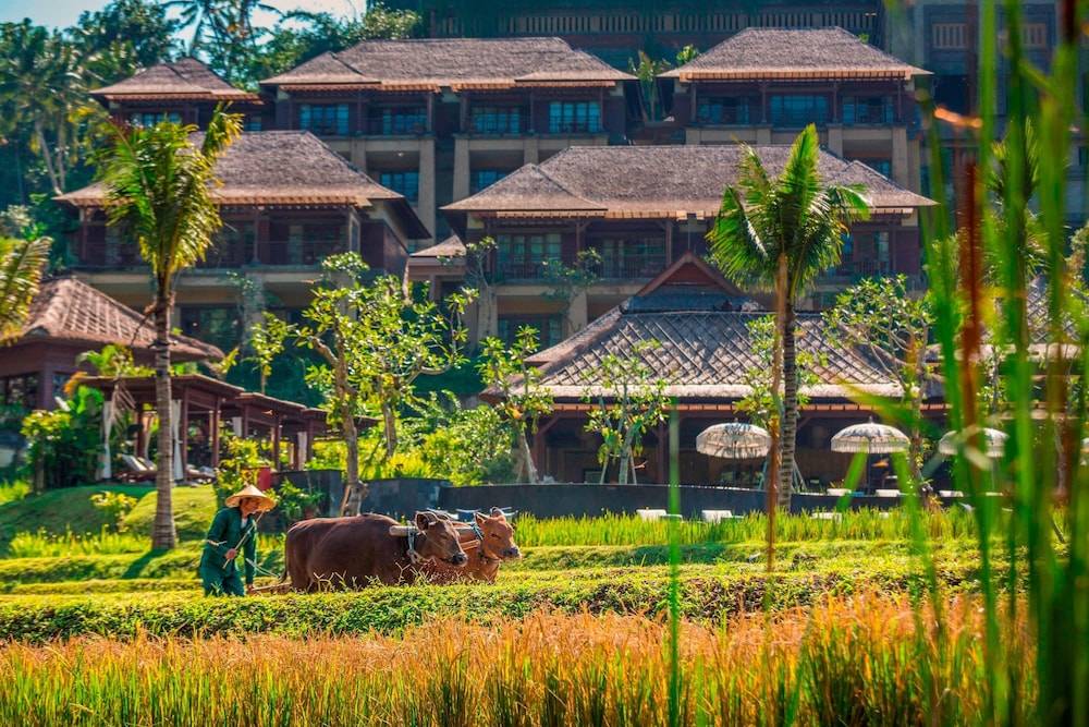 Mandapa, A Ritz-Carlton Reserve