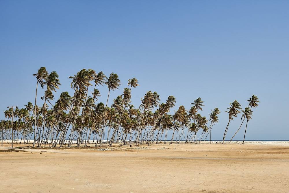 Salalah Gardens Hotel
