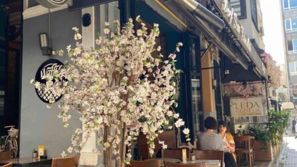 3_w1290h725x0y12-1a1e0024_z