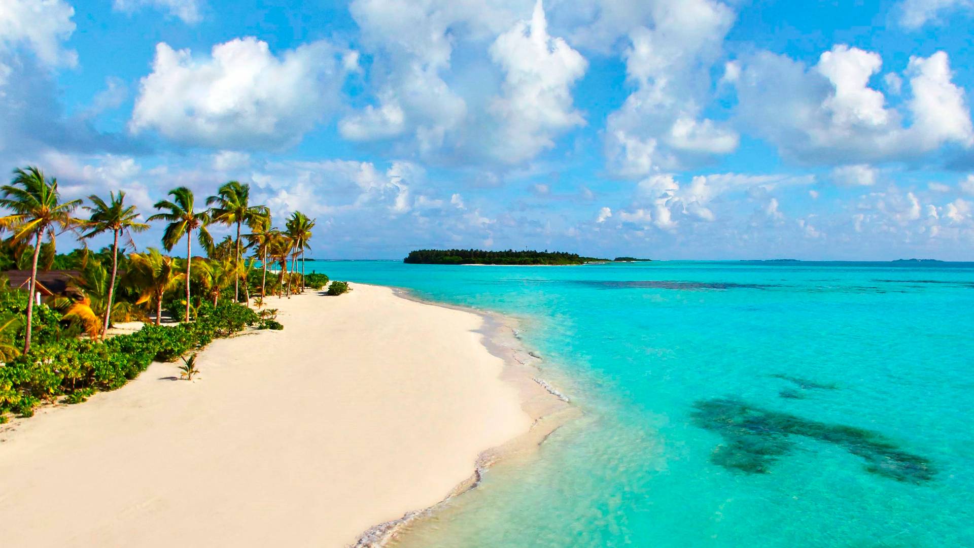 10_AMVMDVC5R2_1260716