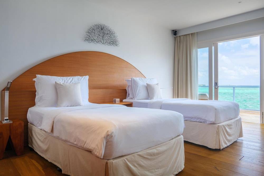 43_w3836h2558x4y4-0ad53d25_z