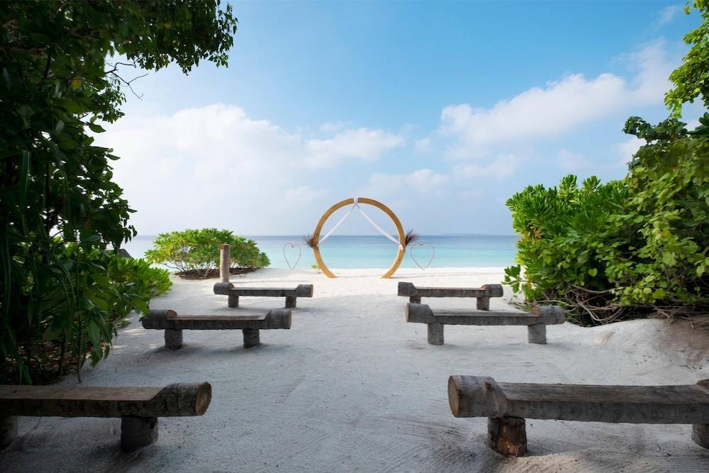 66_w3837h2560x3y0-48505711_z