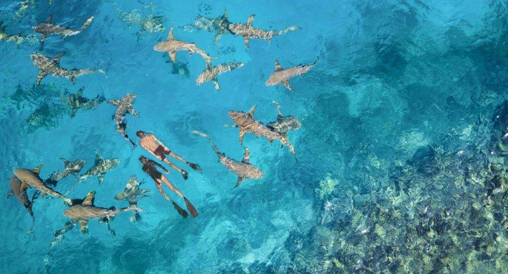 anantara_veli_maldives_resort_24165