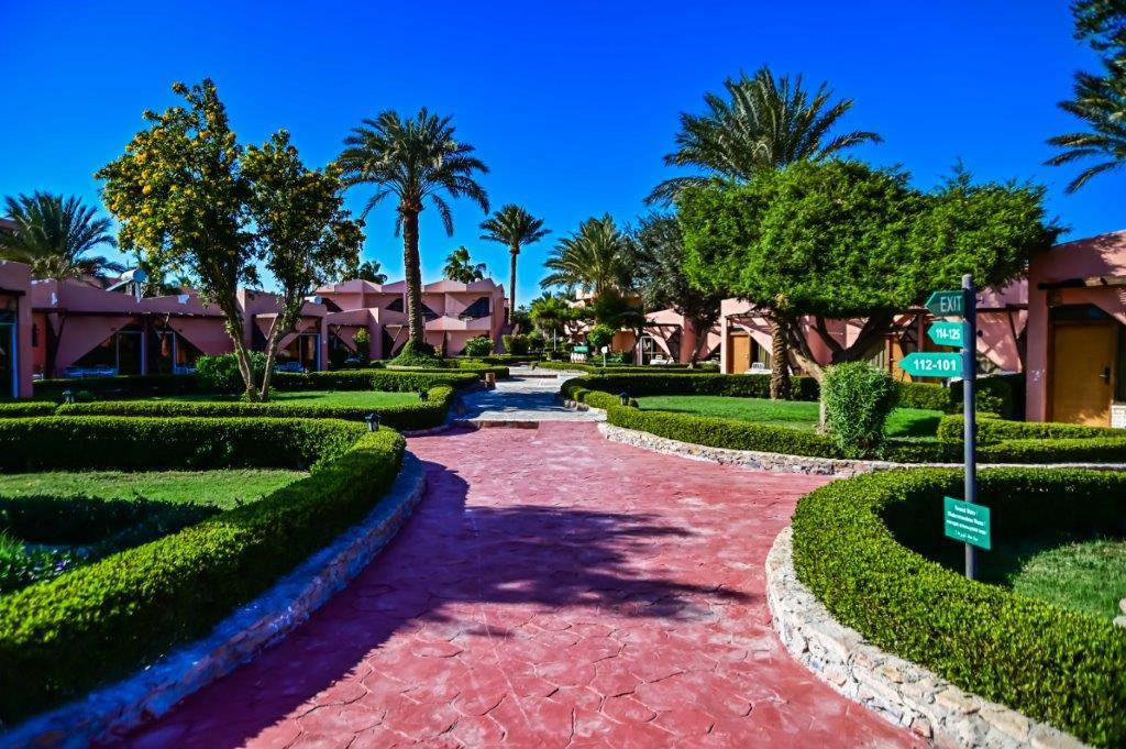 roundtrip_egypt___paradise_abu_soma__ds__12989