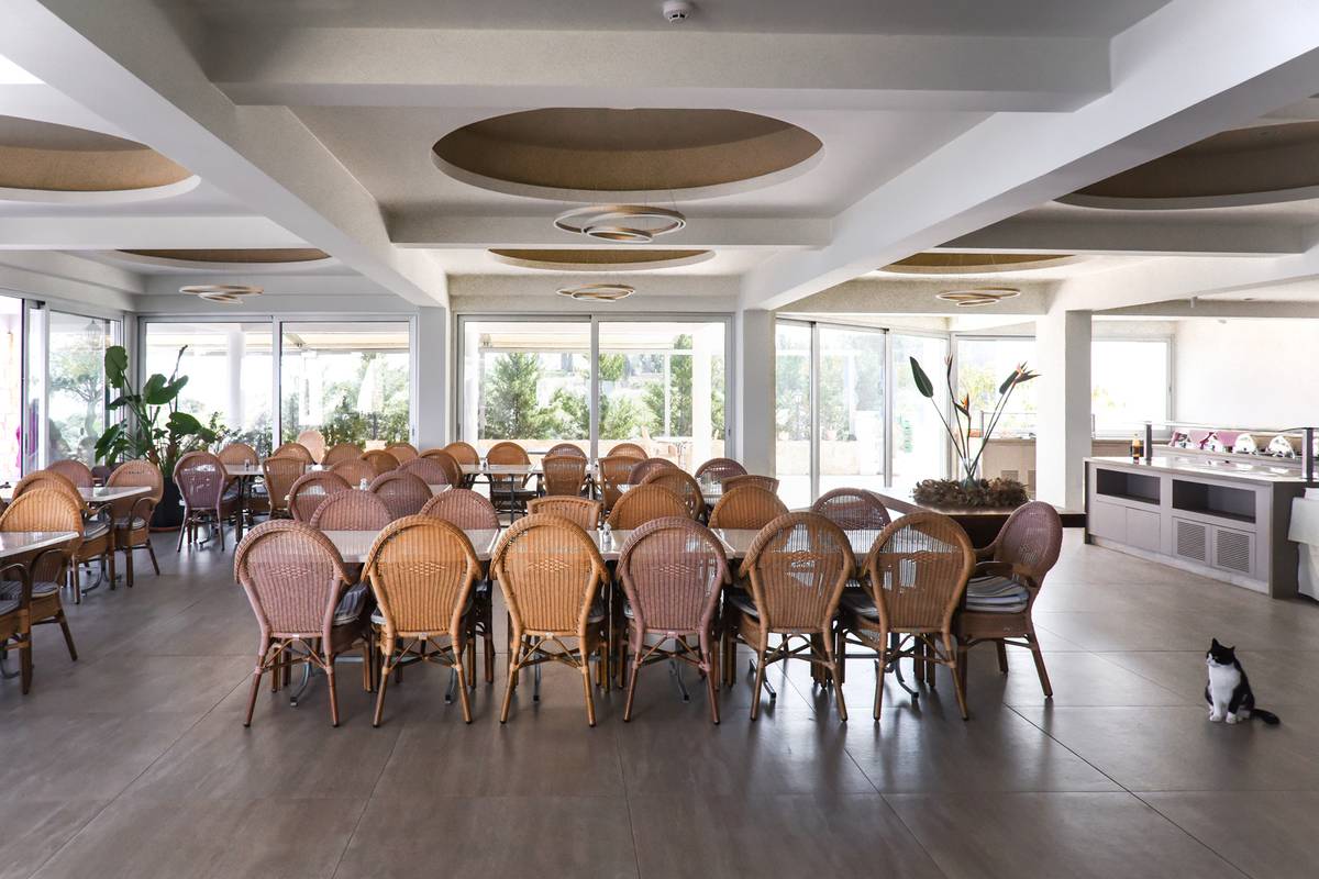 9_ACYLCACN64_1234934