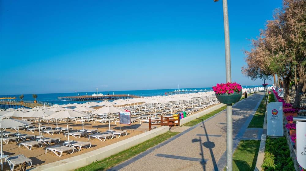 47_w6828h3834x0y6-58c97a19_z