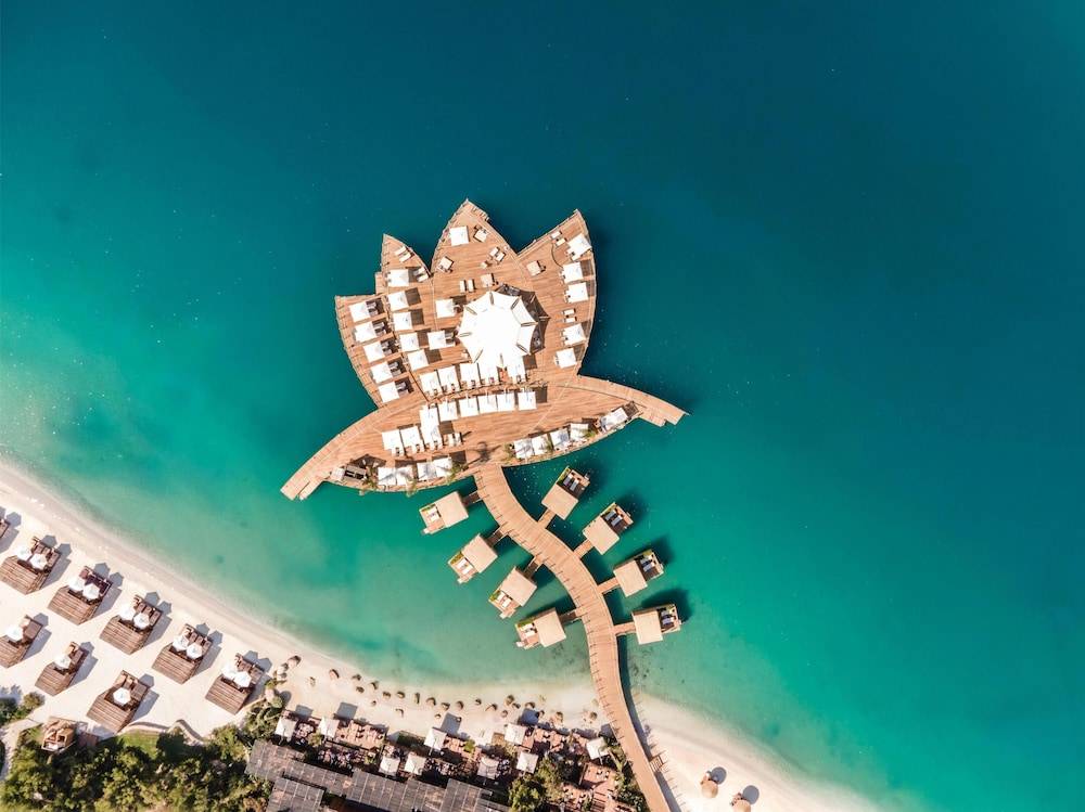 47_w5120h3836x0y4-b87703ce_z