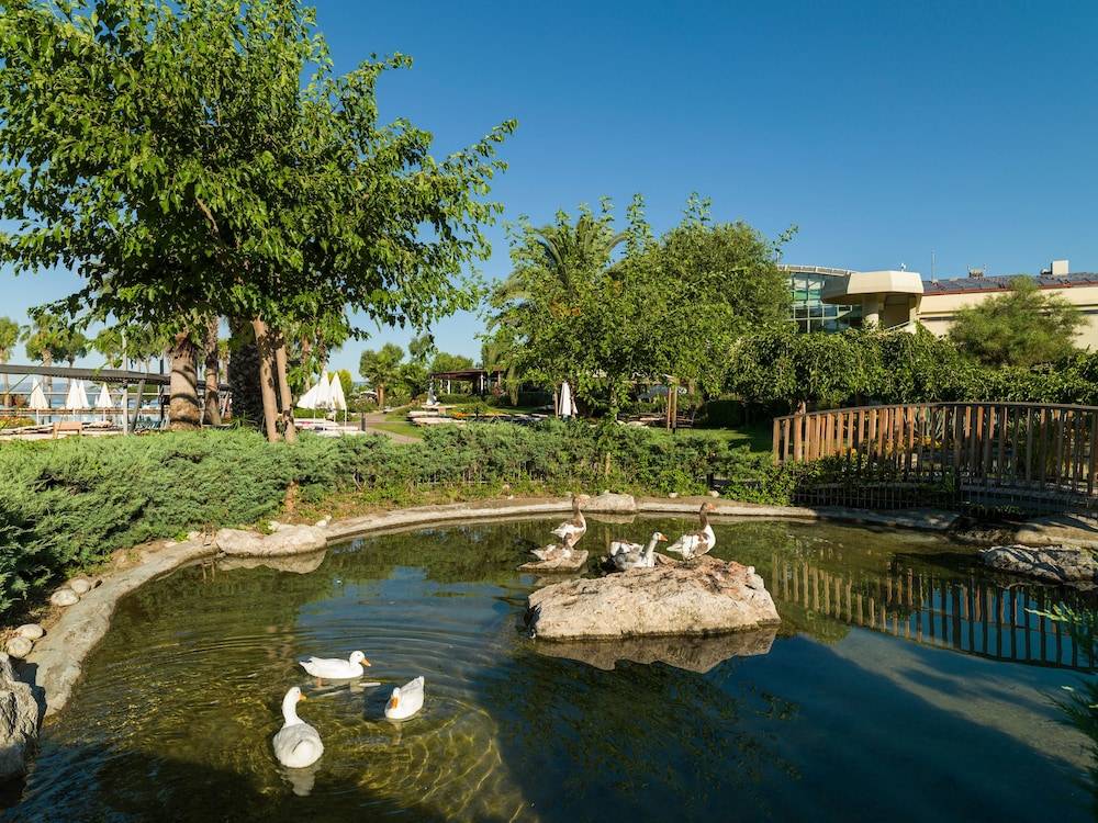 49_f1046f69_z 49_f1046f69_z