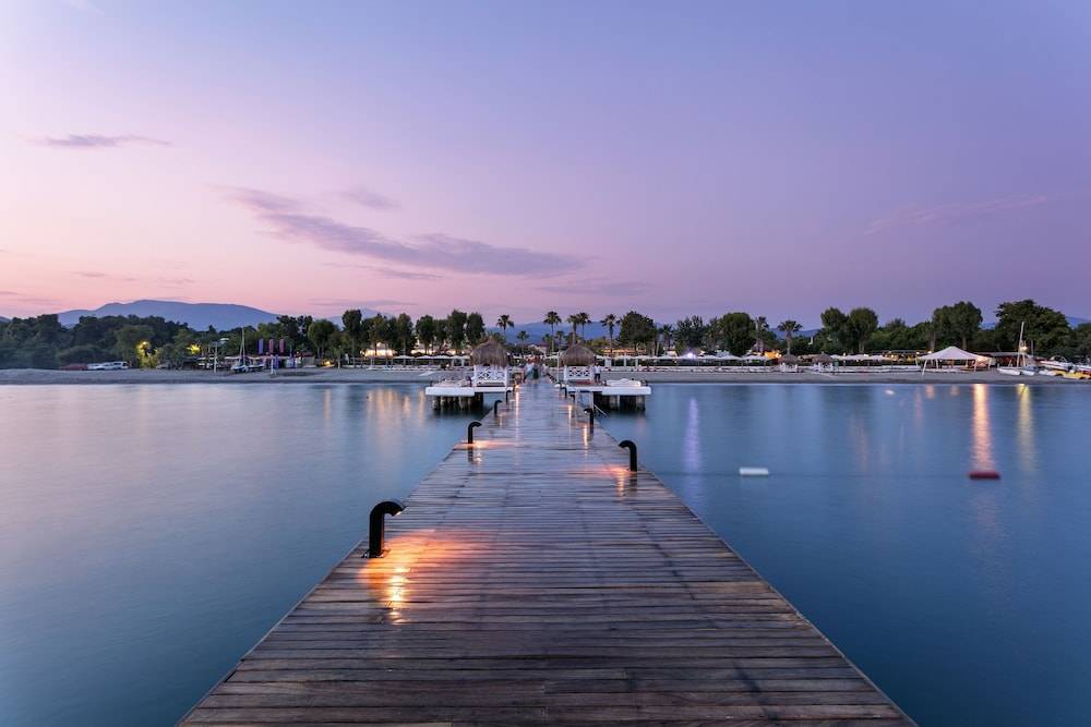 52_a8f11859_z 52_a8f11859_z