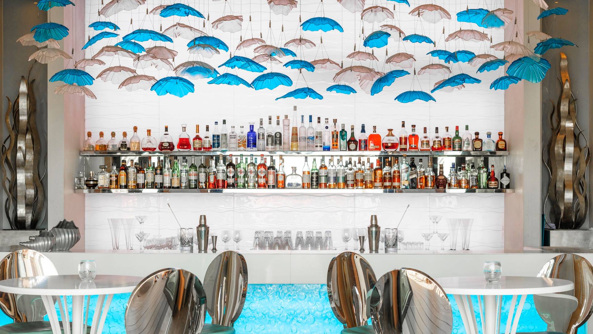 12_AAEDXB1ZJW_1446638