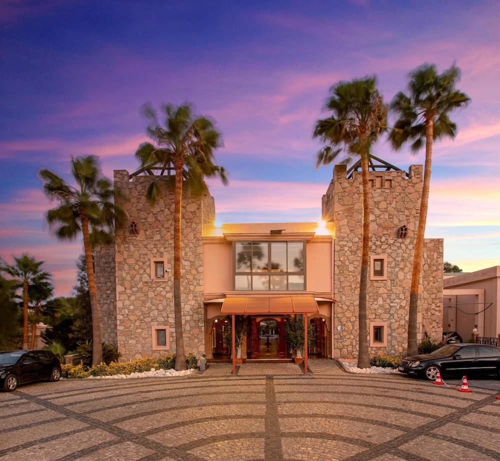 39_w4159h3836x4y4-e67febc0_z