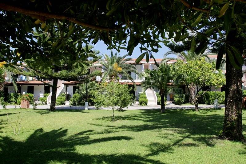 10_21975860__ 10_21975860__