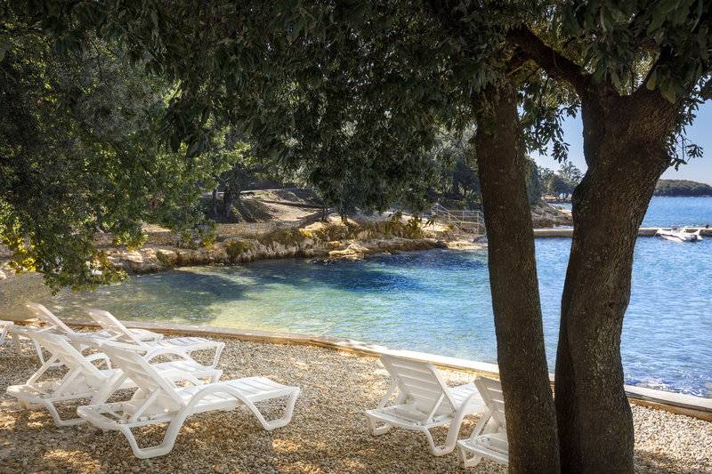 9_16378528_s_ 9_16378528_s_