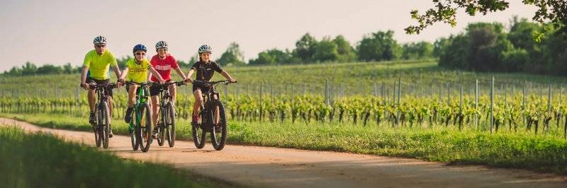 23_17351500_f_ 23_17351500_f_