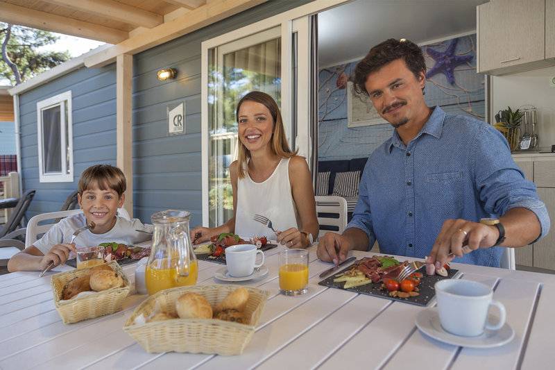 20_21485203_w_ 20_21485203_w_