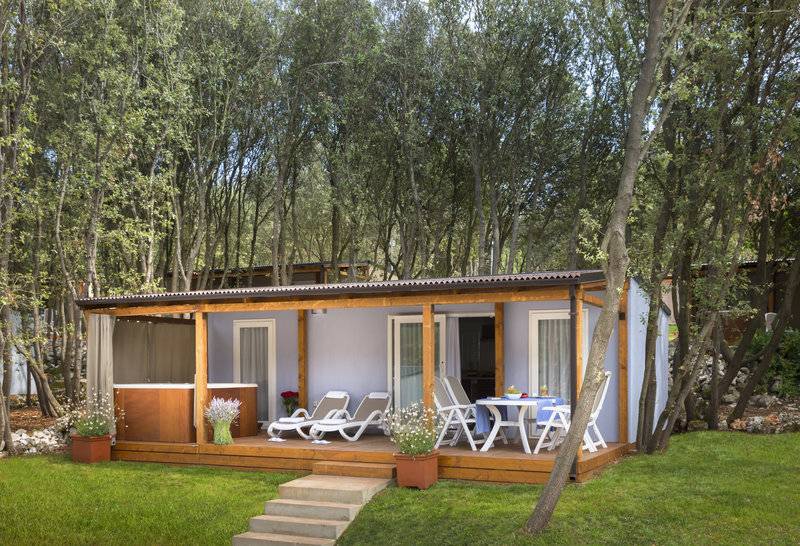 11_16928189_w_ 11_16928189_w_