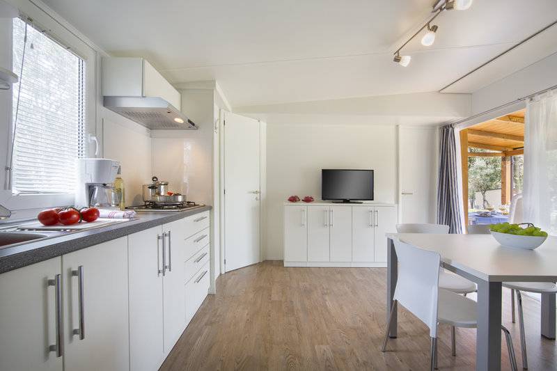 12_16928114_w_ 12_16928114_w_