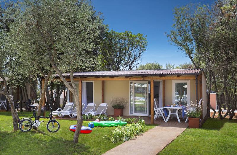 17_17550096_w_ 17_17550096_w_