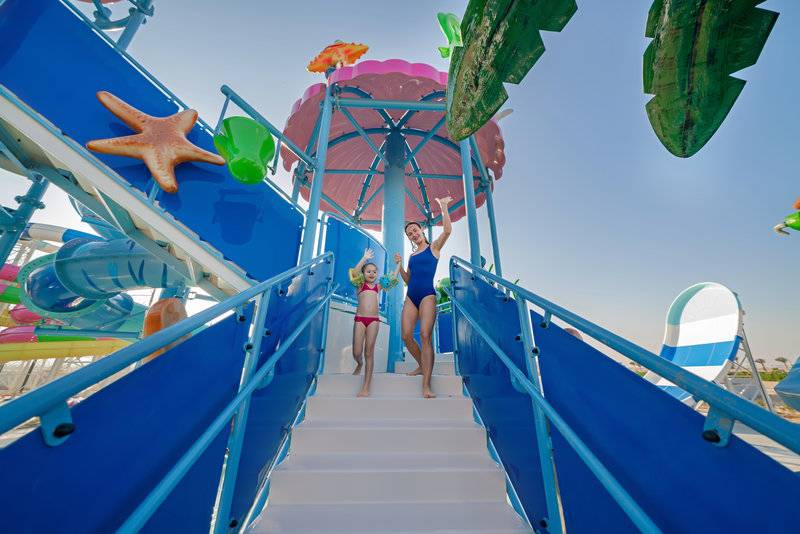 21_17205828_p_ 21_17205828_p_