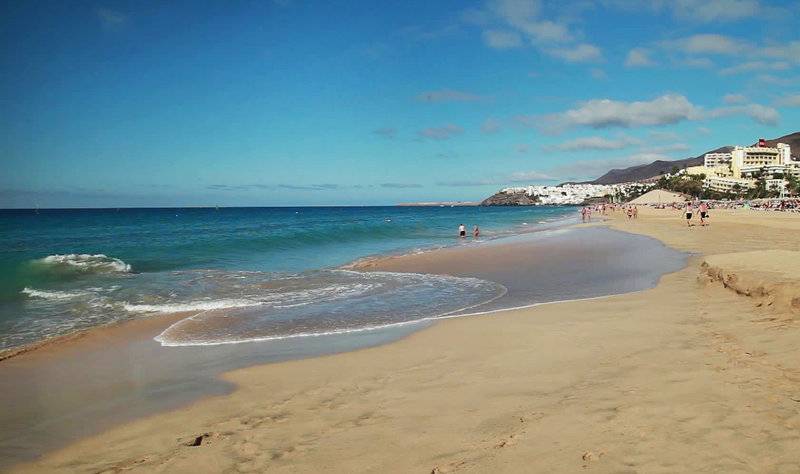 15_2351078_s 15_2351078_s