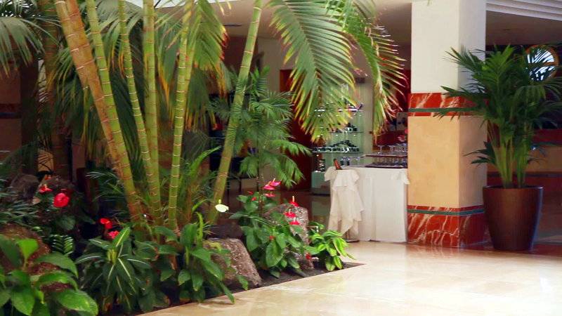 25_2351072_l 25_2351072_l