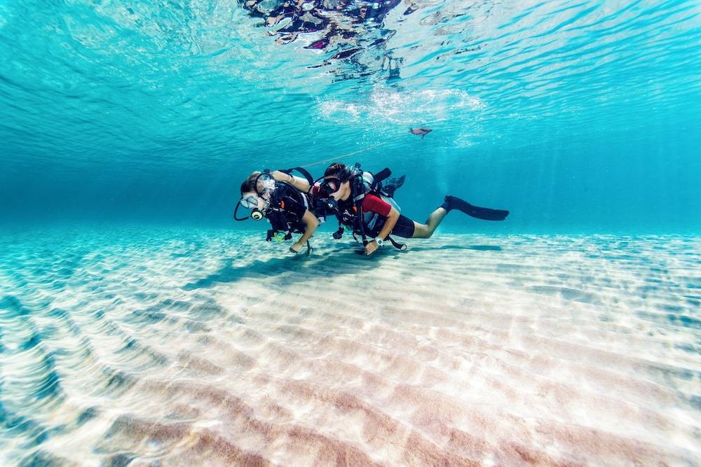 47_1038d54b_z