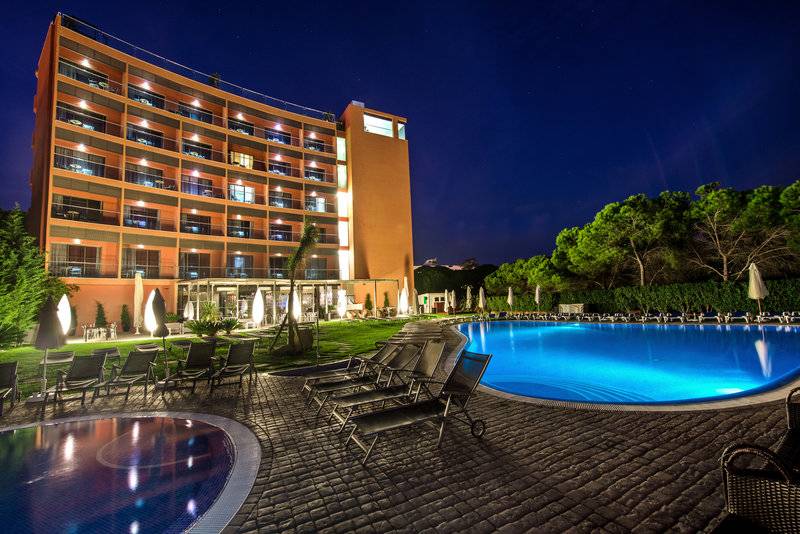 8_2811467_p 8_2811467_p