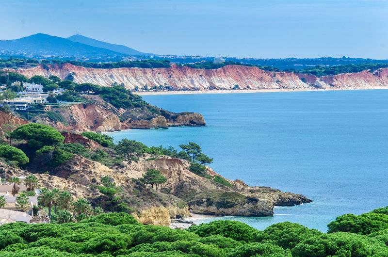 24_2811503_unknown 24_2811503_unknown