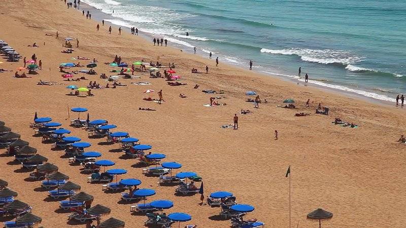 16_2315997_s 16_2315997_s