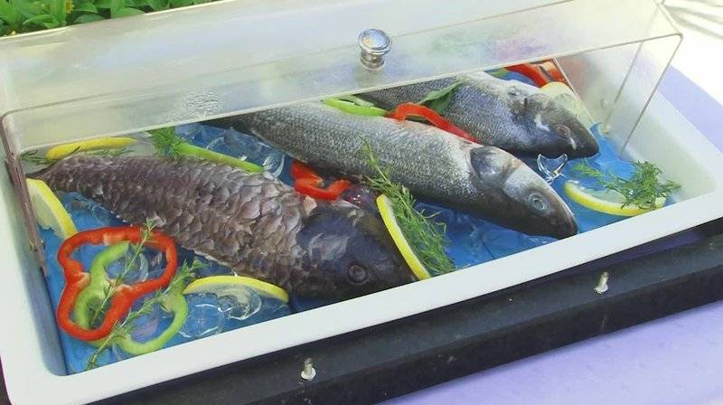 14_2304843_r 14_2304843_r