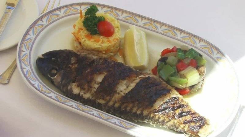 15_2304845_r 15_2304845_r