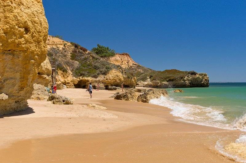 17_3131192_s 17_3131192_s