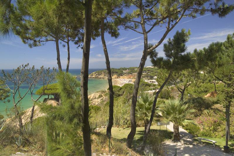 15_2457170_s 15_2457170_s