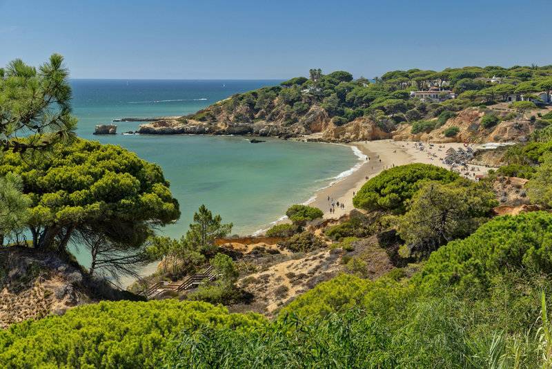 16_16783920_s 16_16783920_s