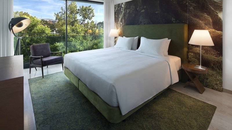 21_17399336_w 21_17399336_w